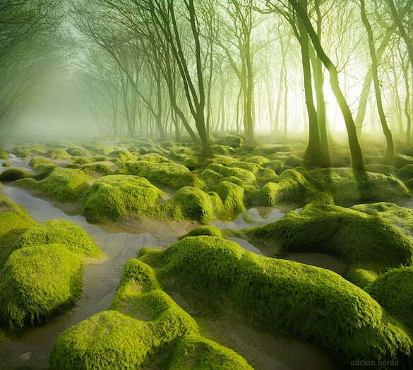 amazing-places-romania-1__880