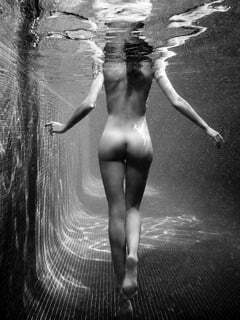 Cat Walk