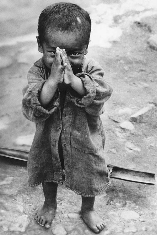 gratitude