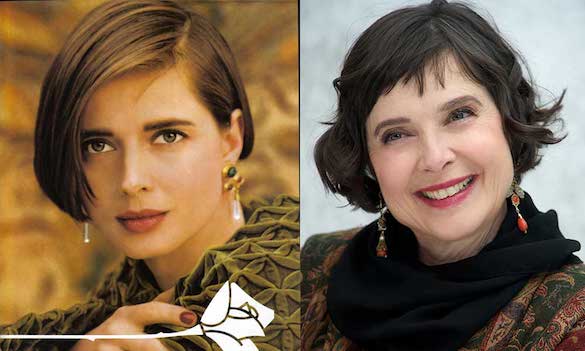 rossellini lancome