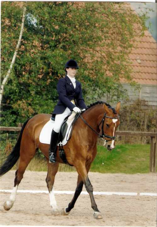 world young horse dressage