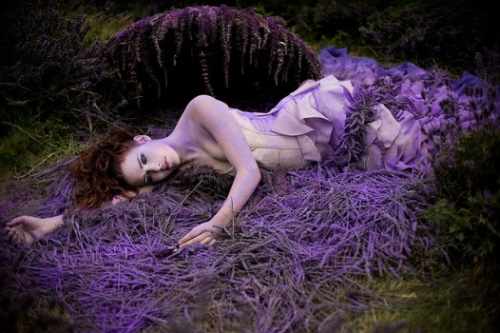 lilac