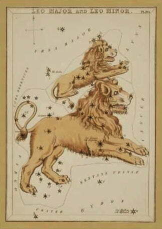 Leo