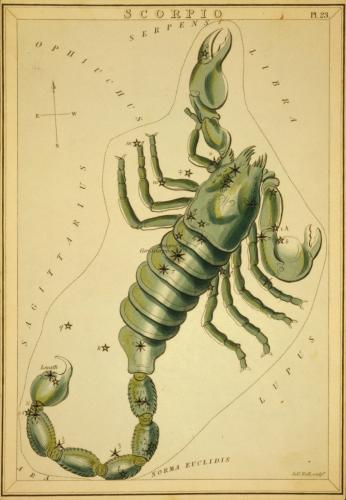 Scorpio