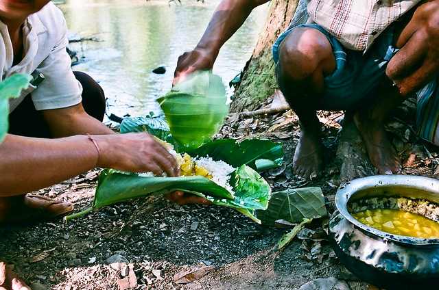 masa tribala
