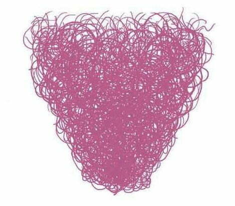 the year of the bush