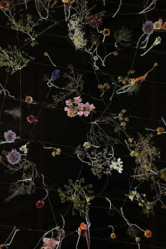 3 rebecca-louise-law