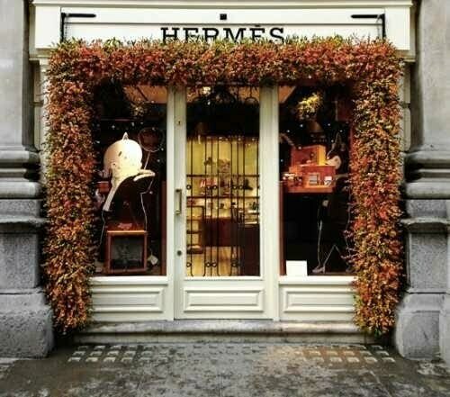 Hermes-rex