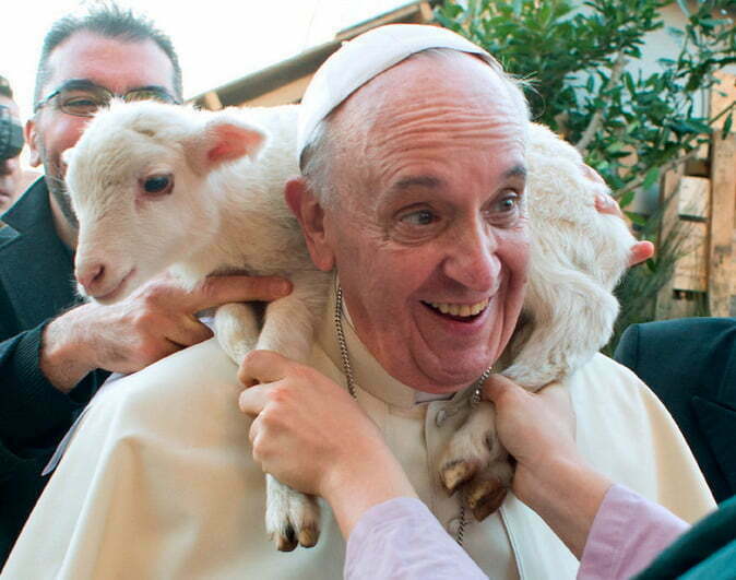 Papa Francisc