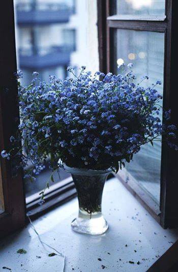 blue flowers