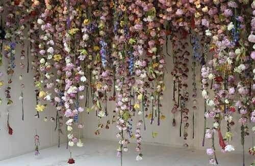 chelsea flower show hero