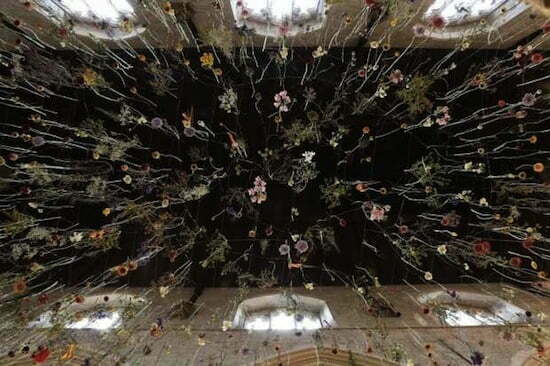 rebecca louise law 1