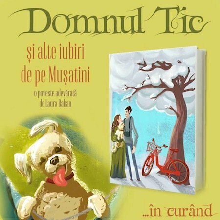 Domnul Tic