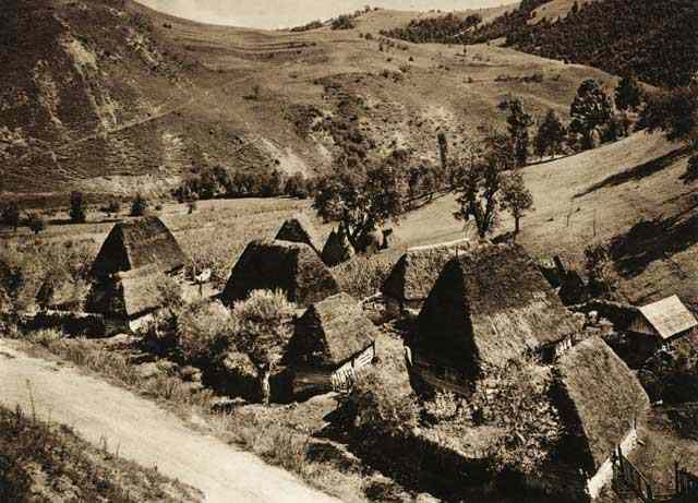 Lunca-Cernii