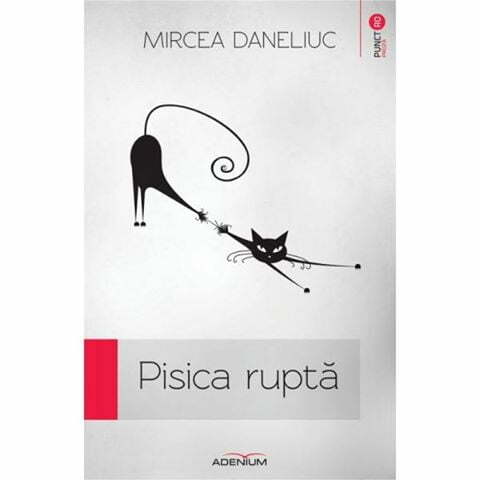 Pisica ruptă