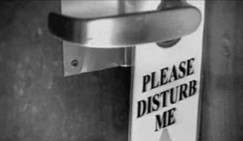 please distrub me