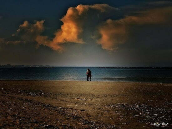 mare