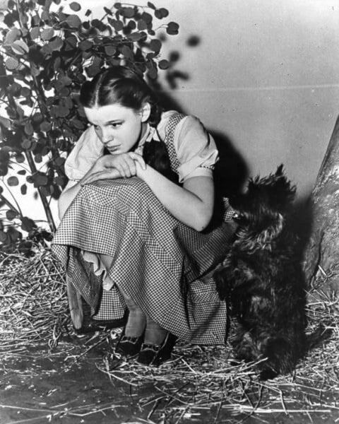 dorothy