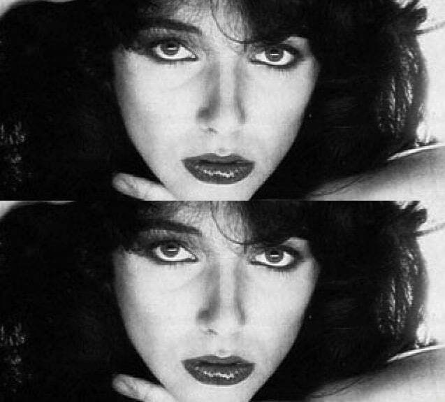 kate bush