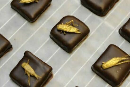 goldcrickets