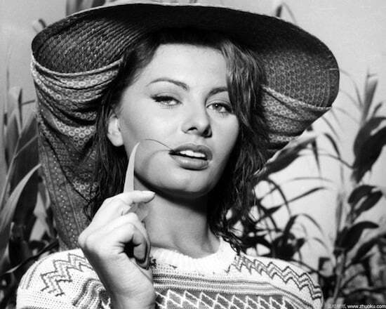 sophia loren2