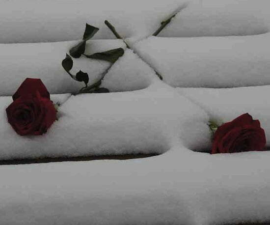 81773__winter-love_p