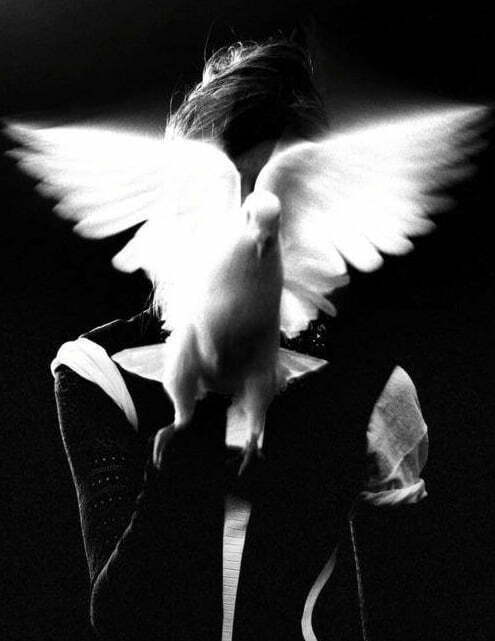 angel