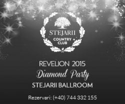 banner revelion 300 x 250