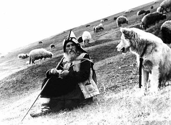 parintele-cleopa-ilie