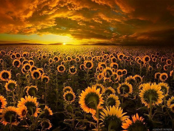 amazing-places-romania-4__880