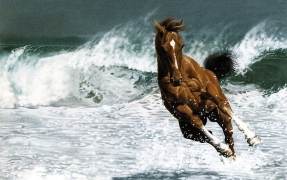 free spirit