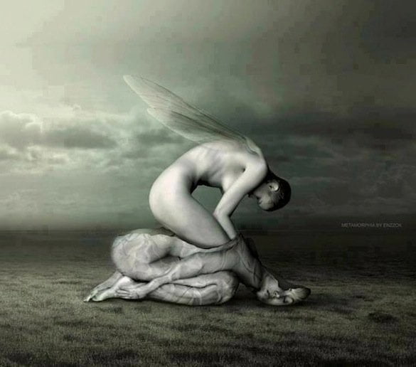 reborn