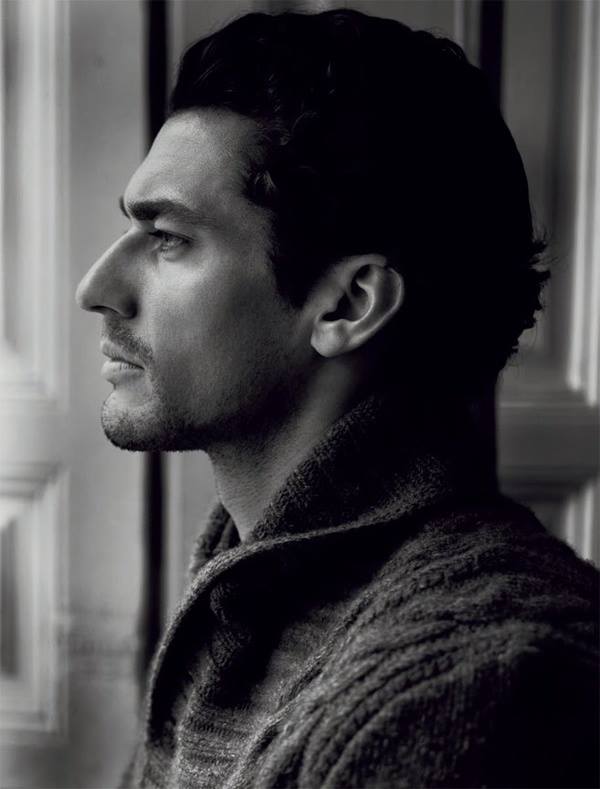 David Gandy