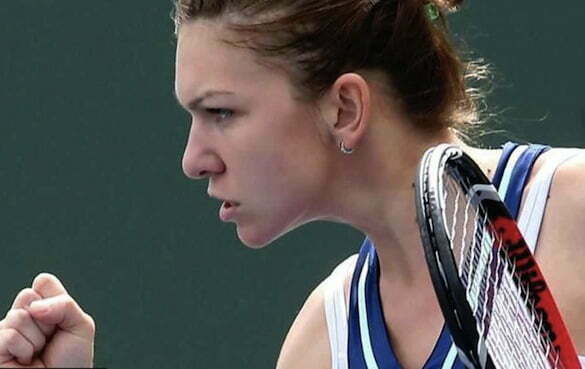 halep