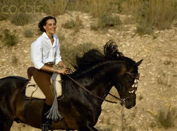 Ines cal