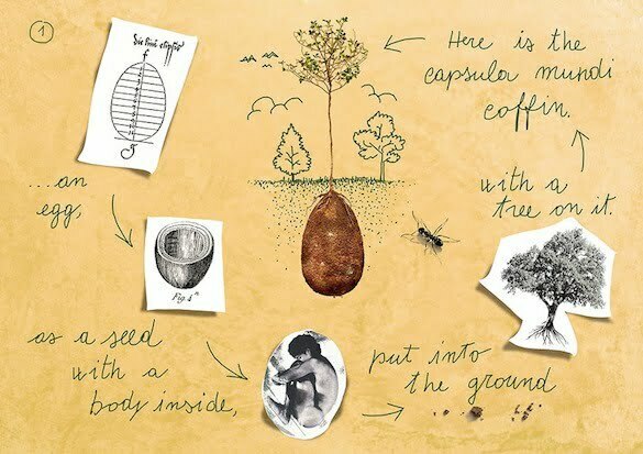 biodegradable-burial-pod-memory-forest-capsula-mundi-3