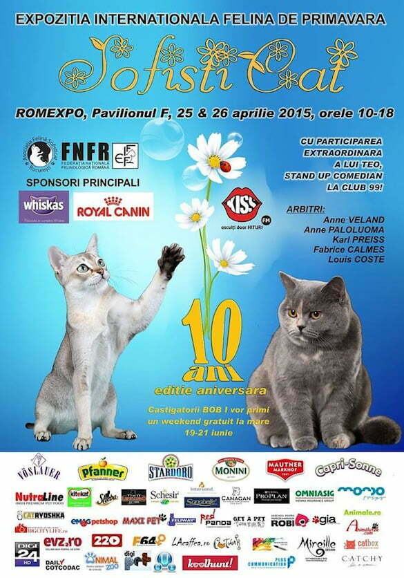 afiș cats