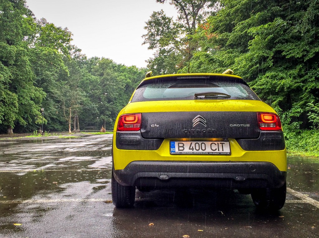 Citroen C4 Cactus (2)
