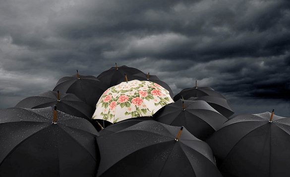 unique-umbrella