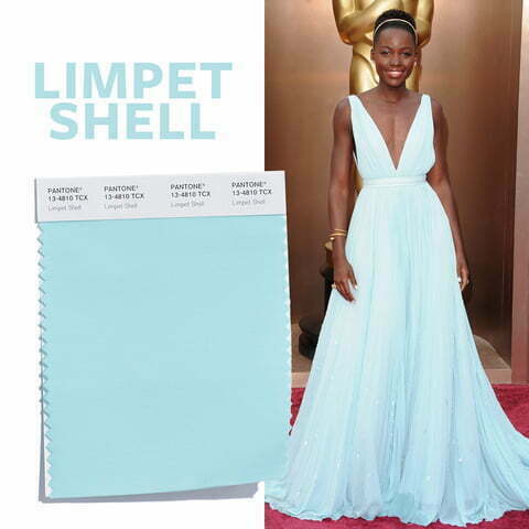 090815-pantone-color-limpet-shell