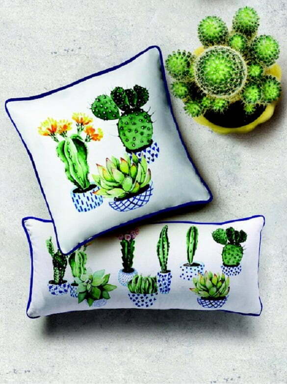 Home Creators - pernute Cactusi
