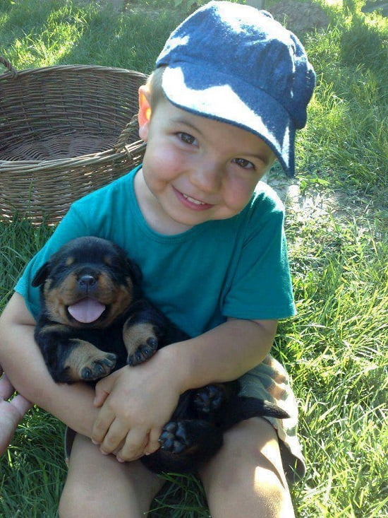 copil si catel