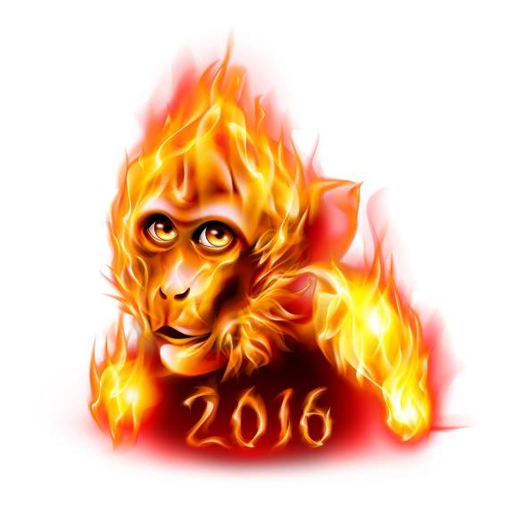 anul maimutei de foc
