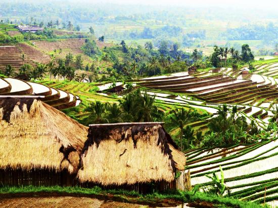 ubud