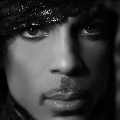 prince-extralarge cream