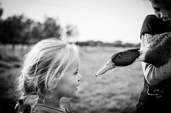 raw-childhood-without-electronic-devices-niki-boon-new-zealand-35