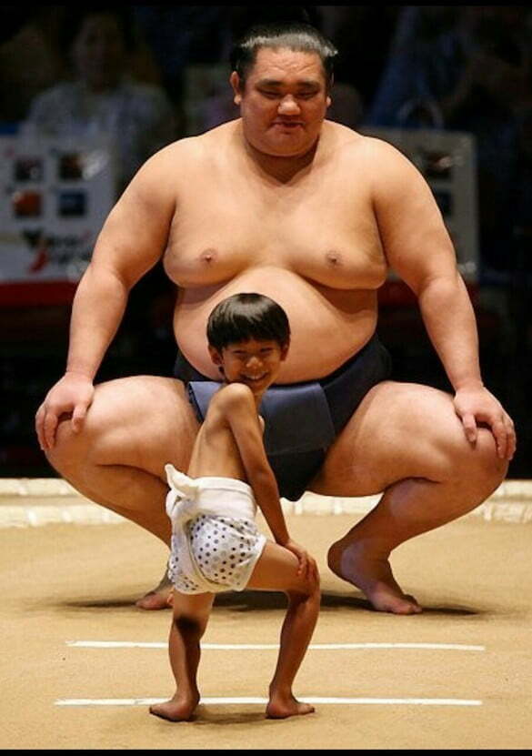 sumo-wrestler-funny-cute