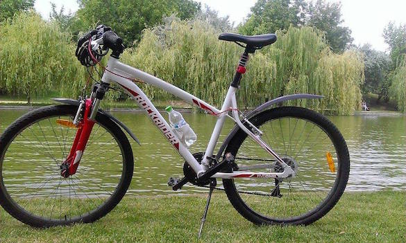 bicla