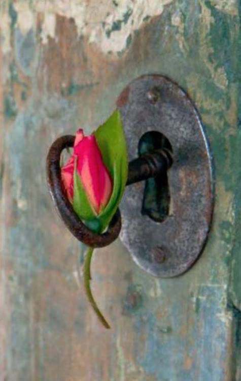 cheie, floare