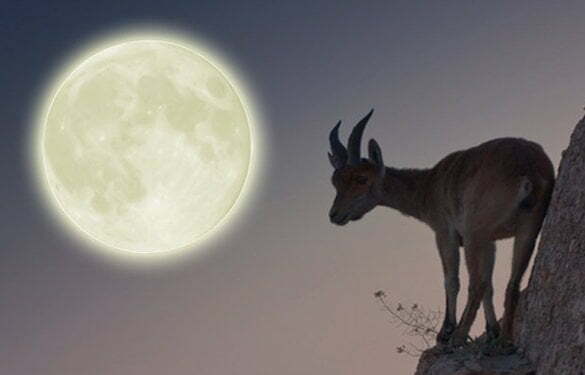 full-moon-in-cap